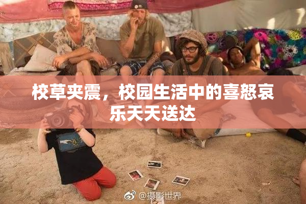 校草夹震，校园生活中的喜怒哀乐天天送达