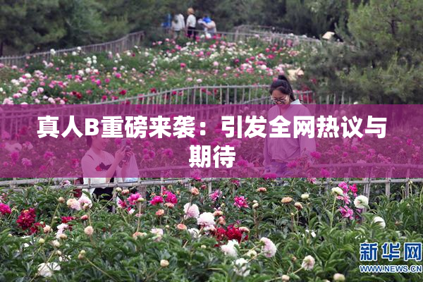 真人B重磅来袭：引发全网热议与期待