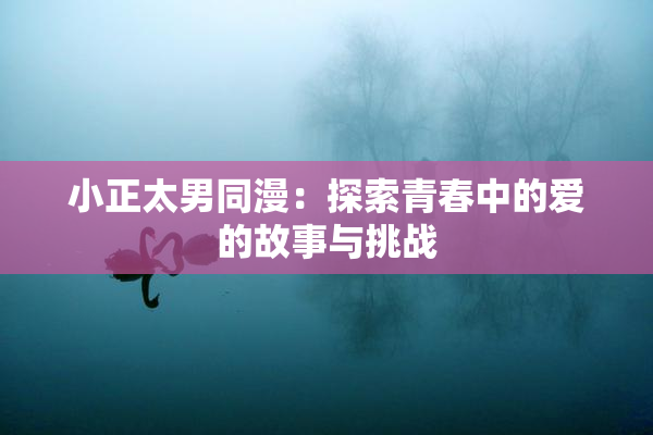 小正太男同漫：探索青春中的爱的故事与挑战