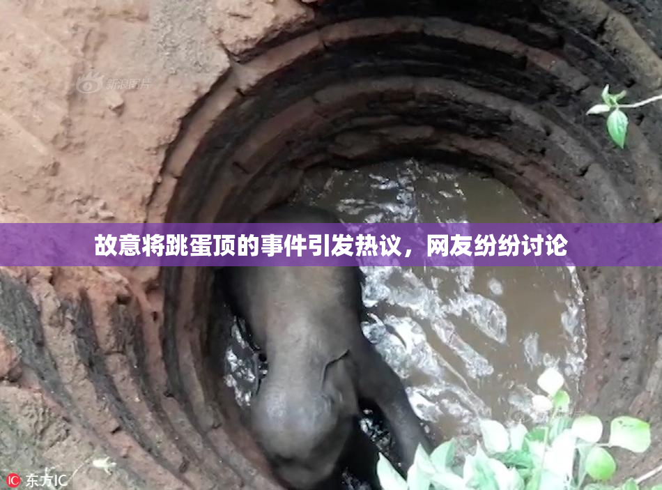 故意将跳蛋顶的事件引发热议，网友纷纷讨论