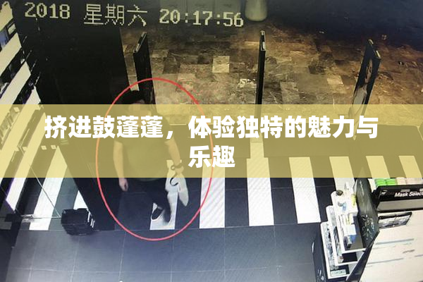挤进鼓蓬蓬，体验独特的魅力与乐趣