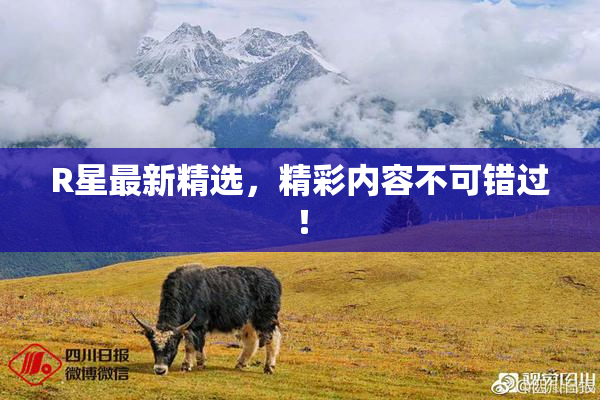 R星最新精选，精彩内容不可错过！