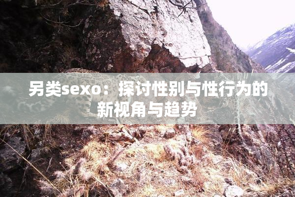 另类sexo：探讨性别与性行为的新视角与趋势