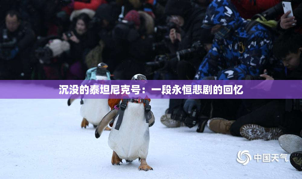 沉没的泰坦尼克号：一段永恒悲剧的回忆