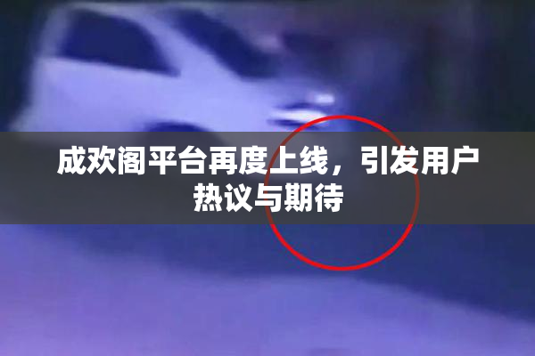 成欢阁平台再度上线，引发用户热议与期待