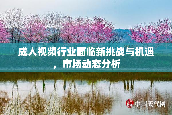 成人视频行业面临新挑战与机遇，市场动态分析