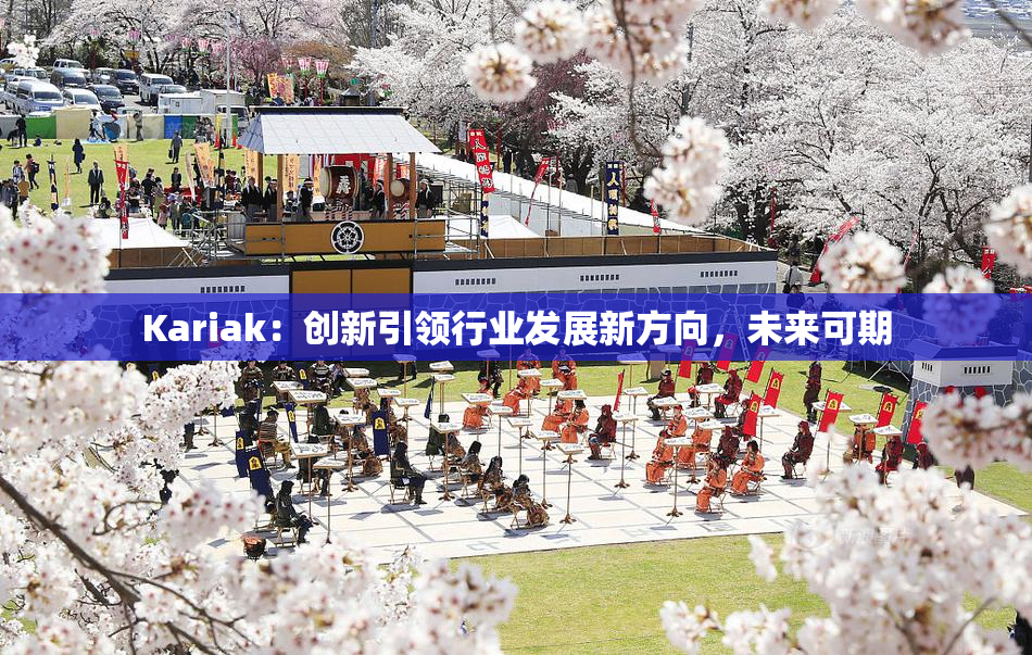 Kariak：创新引领行业发展新方向，未来可期