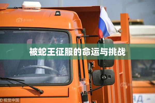 被蛇王征服的命运与挑战