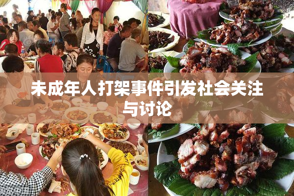 未成年人打架事件引发社会关注与讨论