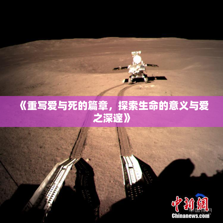 《重写爱与死的篇章，探索生命的意义与爱之深邃》