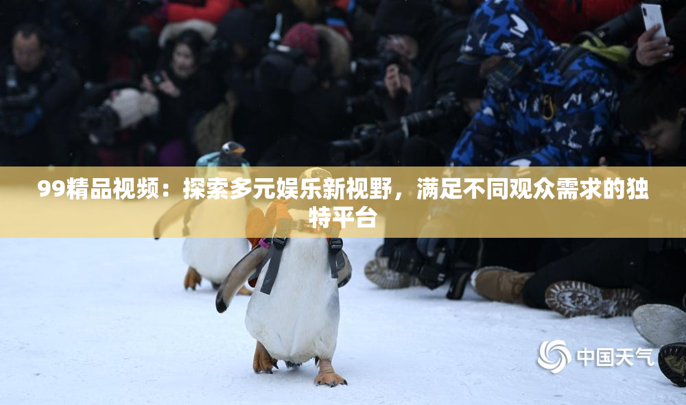 99精品视频：探索多元娱乐新视野，满足不同观众需求的独特平台