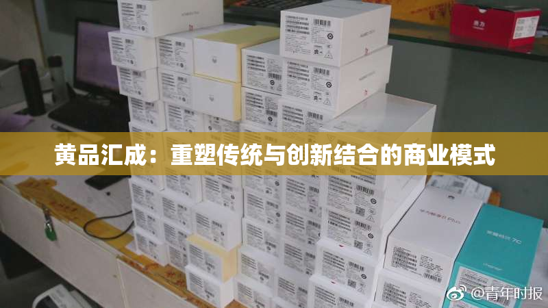 黄品汇成：重塑传统与创新结合的商业模式