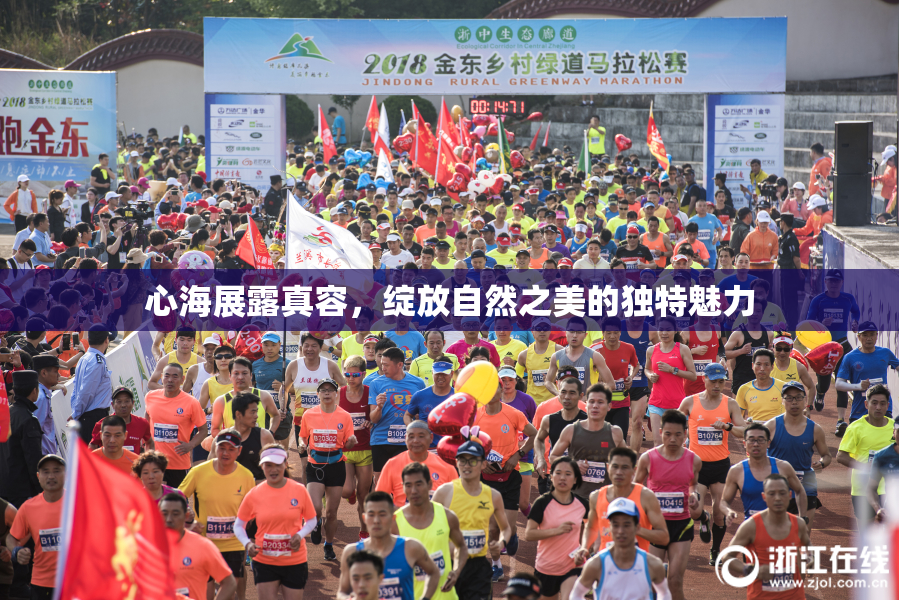 心海展露真容，绽放自然之美的独特魅力