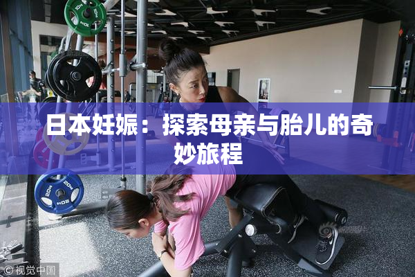 日本妊娠：探索母亲与胎儿的奇妙旅程