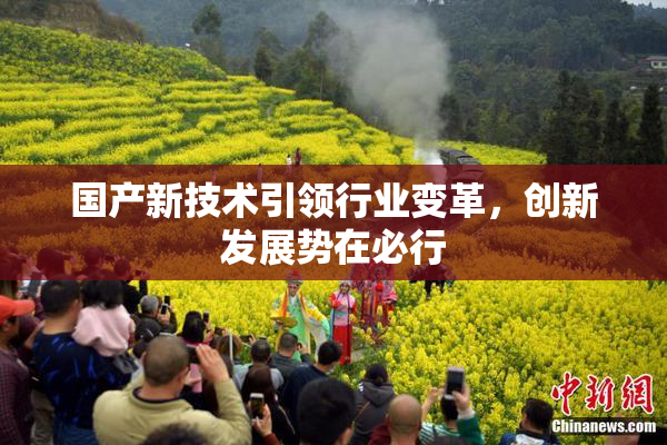 国产新技术引领行业变革，创新发展势在必行