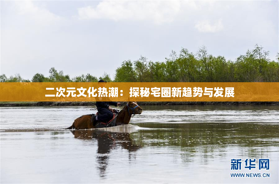 二次元文化热潮：探秘宅圈新趋势与发展