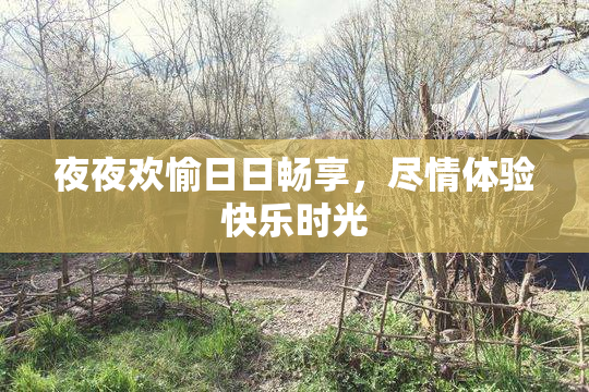 夜夜欢愉日日畅享，尽情体验快乐时光
