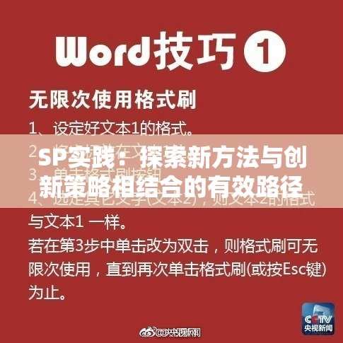 SP实践：探索新方法与创新策略相结合的有效路径