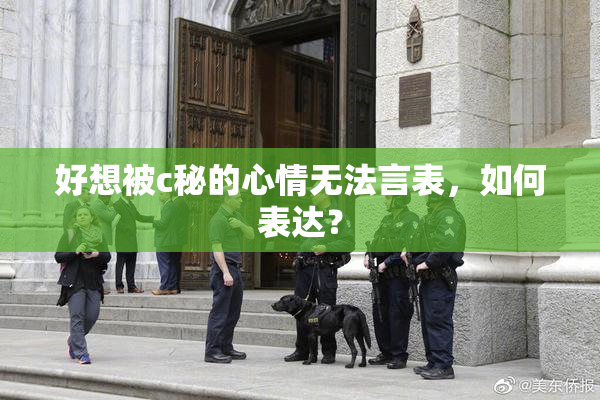 好想被c秘的心情无法言表，如何表达？
