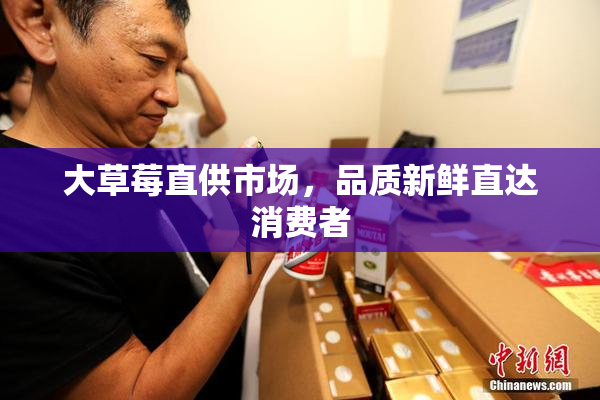 大草莓直供市场，品质新鲜直达消费者