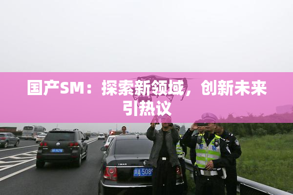 国产SM：探索新领域，创新未来引热议
