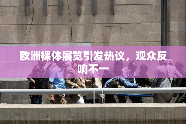 欧洲裸体展览引发热议，观众反响不一