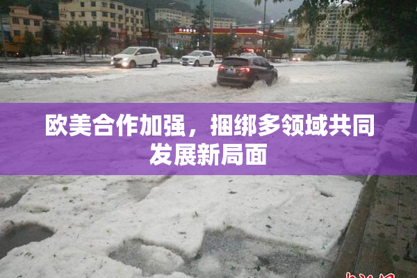 欧美合作加强，捆绑多领域共同发展新局面