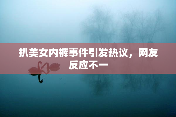 扒美女内裤事件引发热议，网友反应不一