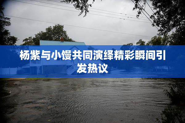 杨紫与小馒共同演绎精彩瞬间引发热议