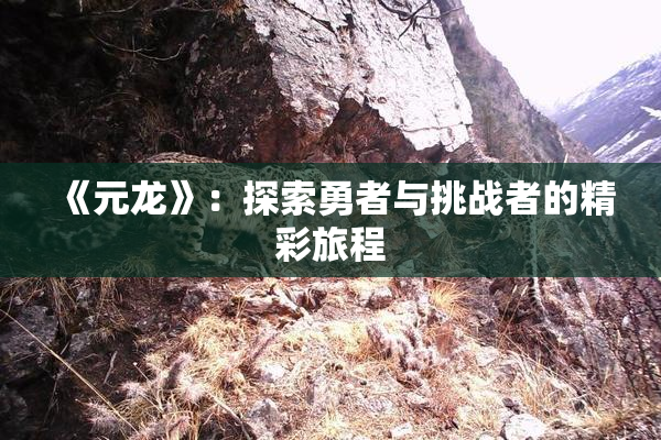 《元龙》：探索勇者与挑战者的精彩旅程