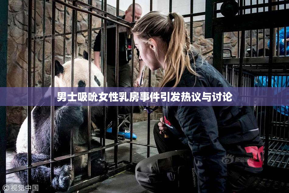 男士吸吮女性乳房事件引发热议与讨论