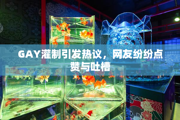 GAY灌制引发热议，网友纷纷点赞与吐槽