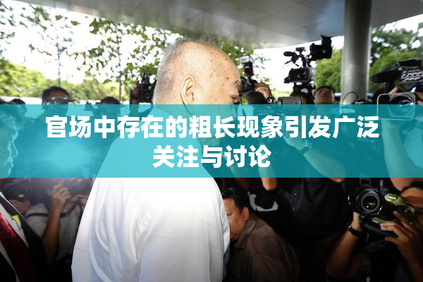 官场中存在的粗长现象引发广泛关注与讨论