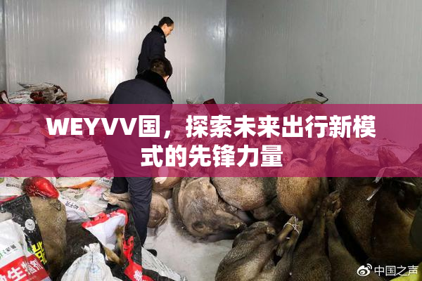 WEYVV国，探索未来出行新模式的先锋力量