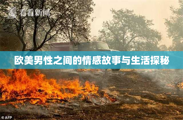 欧美男性之间的情感故事与生活探秘