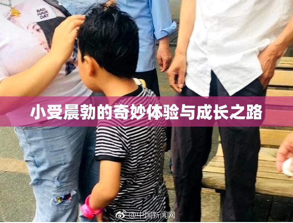 小受晨勃的奇妙体验与成长之路