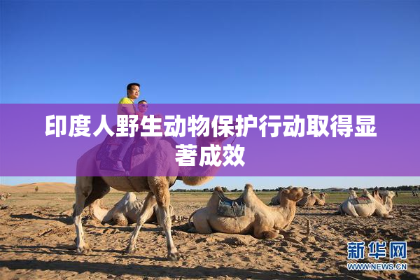 印度人野生动物保护行动取得显著成效