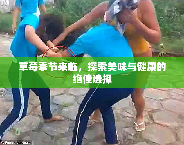 草莓季节来临，探索美味与健康的绝佳选择