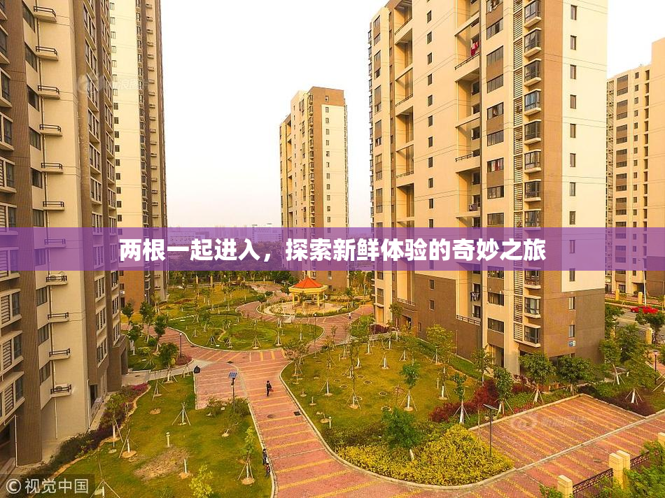 两根一起进入，探索新鲜体验的奇妙之旅