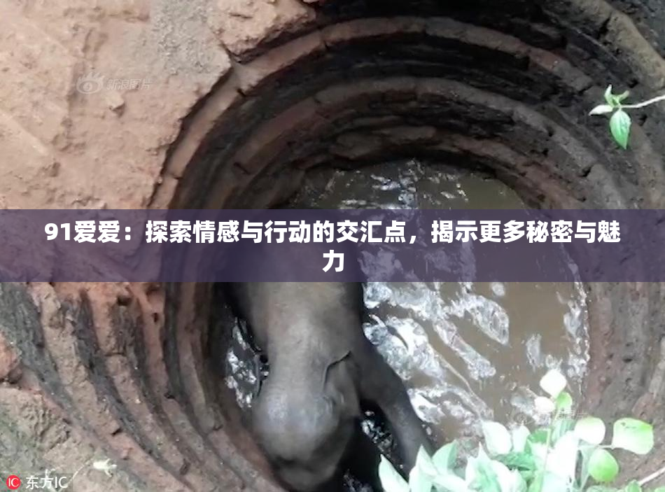 91爱爱：探索情感与行动的交汇点，揭示更多秘密与魅力