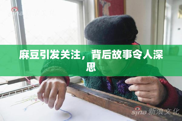 麻豆引发关注，背后故事令人深思