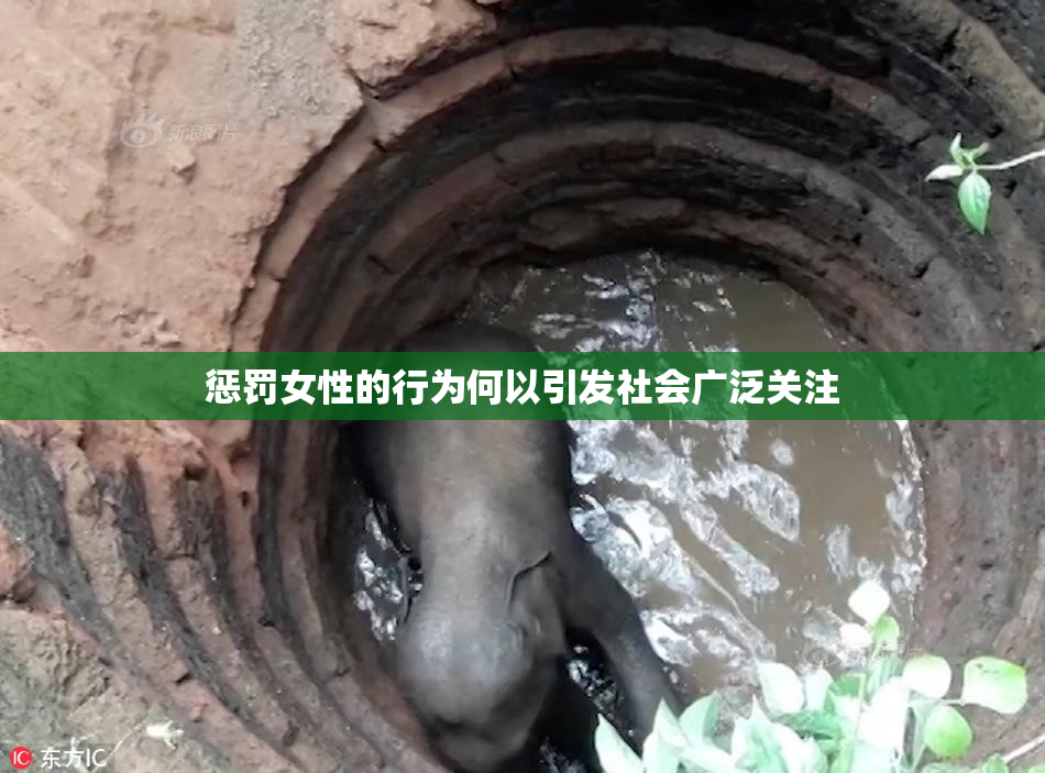 惩罚女性的行为何以引发社会广泛关注