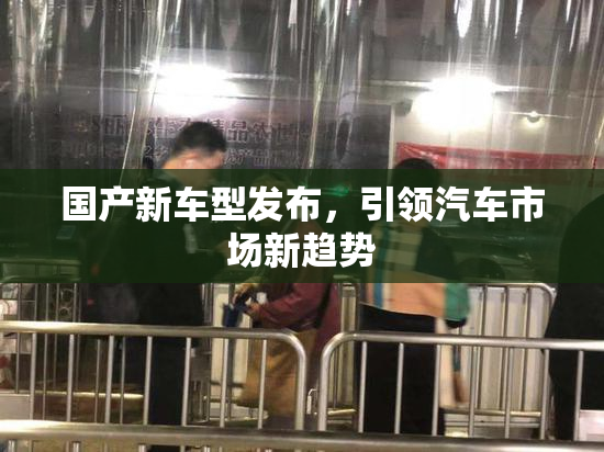 国产新车型发布，引领汽车市场新趋势