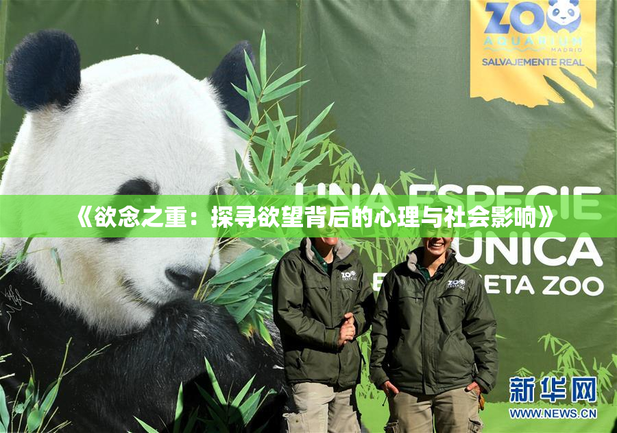 《欲念之重：探寻欲望背后的心理与社会影响》