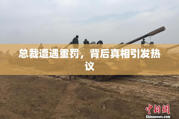 总裁遭遇重罚，背后真相引发热议