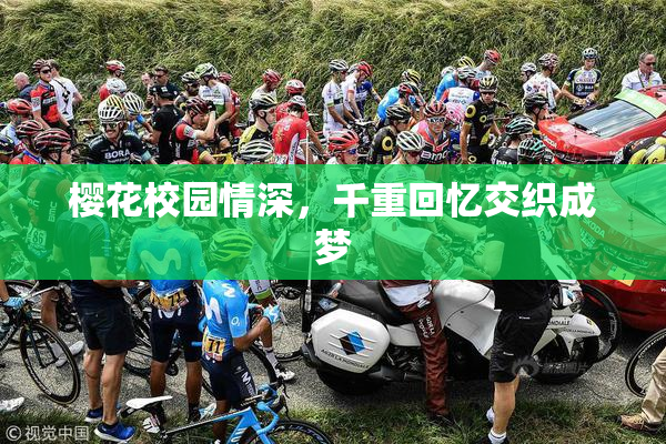 樱花校园情深，千重回忆交织成梦