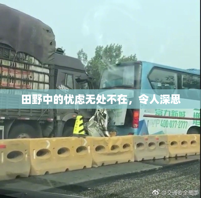 田野中的忧虑无处不在，令人深思