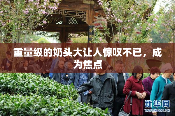 重量级的奶头大让人惊叹不已，成为焦点