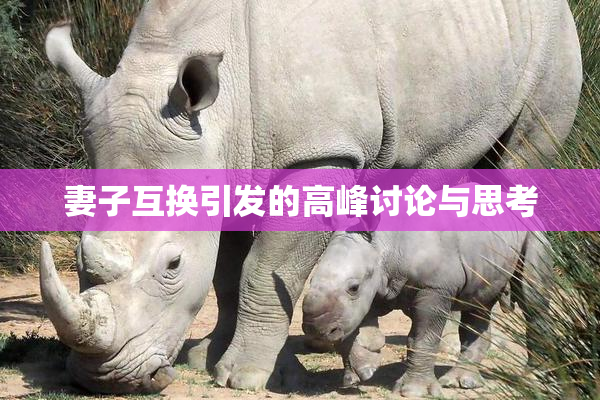 妻子互换引发的高峰讨论与思考