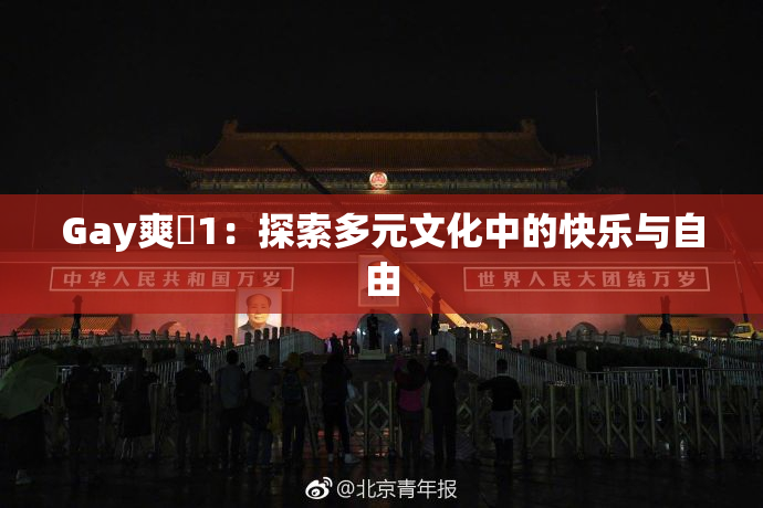 Gay爽擼1：探索多元文化中的快乐与自由